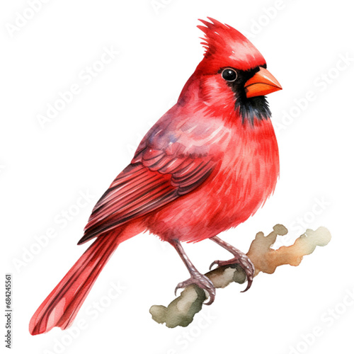 cardinal, generative ai