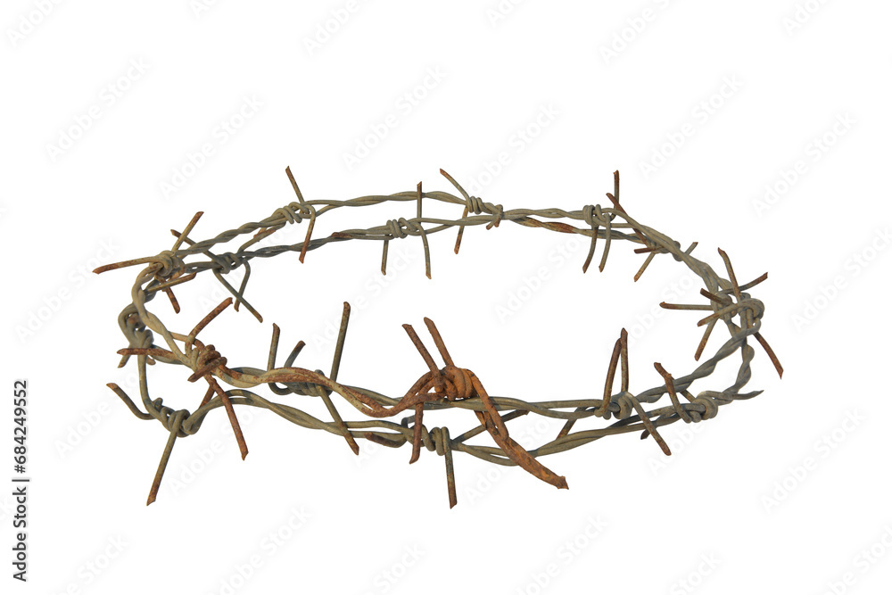 Fototapeta premium crown of thorns isolated on white background with clipping path.