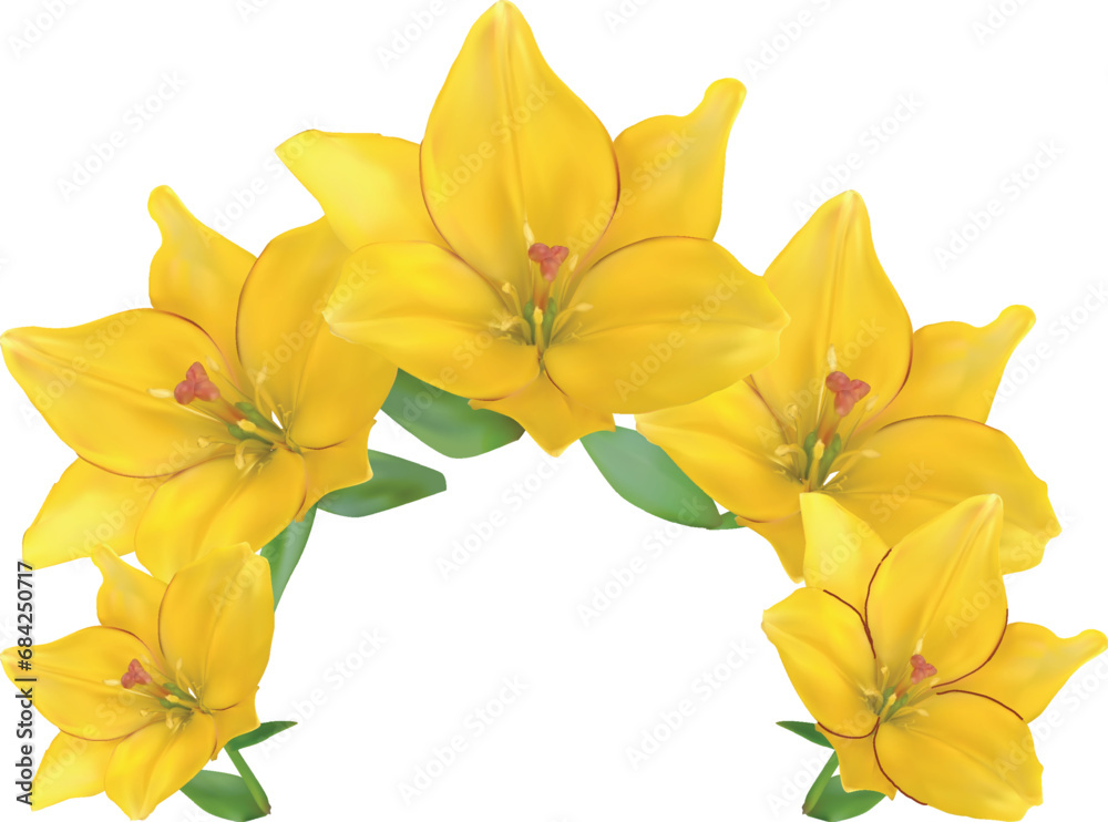 Obraz premium white background with five yellow lily blooms