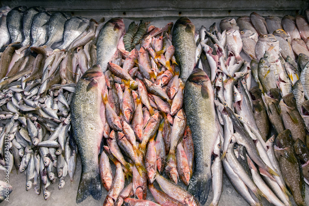 Obraz premium Assortment of fresh raw fish on ice in supermarket