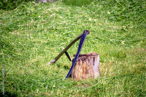 a scythe leaning against a tree stump with cut green grass in the background
