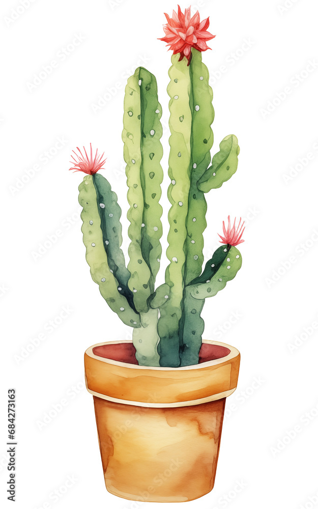 Watercolor cactus in pot. Watercolor cactus in pot.