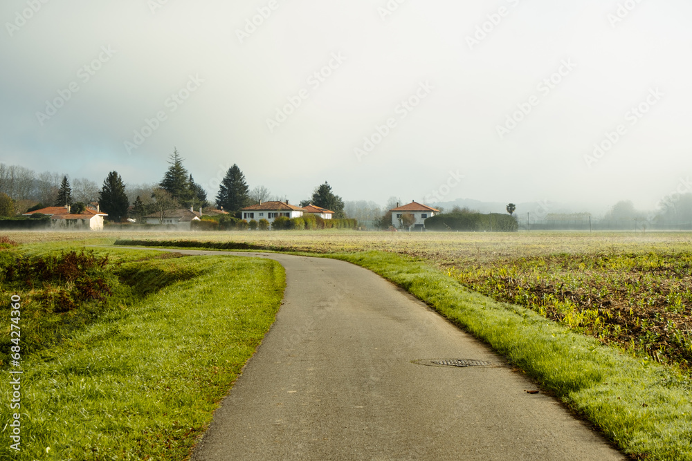 Village road through fields in the mist