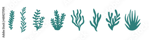 Ocean plants marine foliage vector set photo