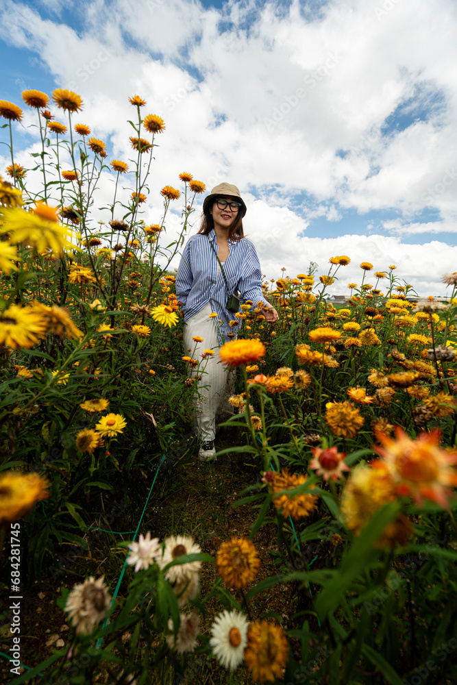 Young woman traveler enjoying with blooming yellow xerochrysum bracteatum garden in Dalat, Vietnam Young woman traveler enjoying with blooming yellow xerochrysum bracteatum garden in Dalat, Vietnam