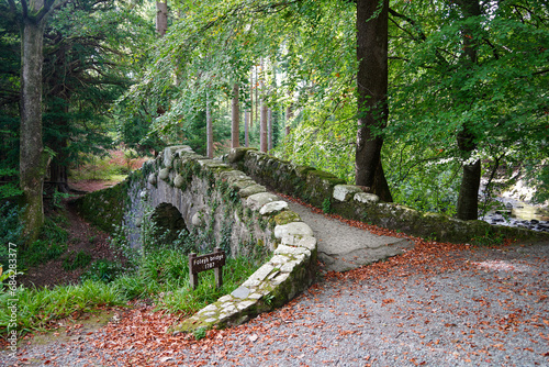 Foley's Bridge at Tollymore Forest Park, County Down, Northern Ireland photo