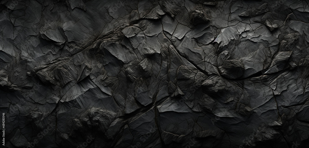 bark of a tree bark of a tree