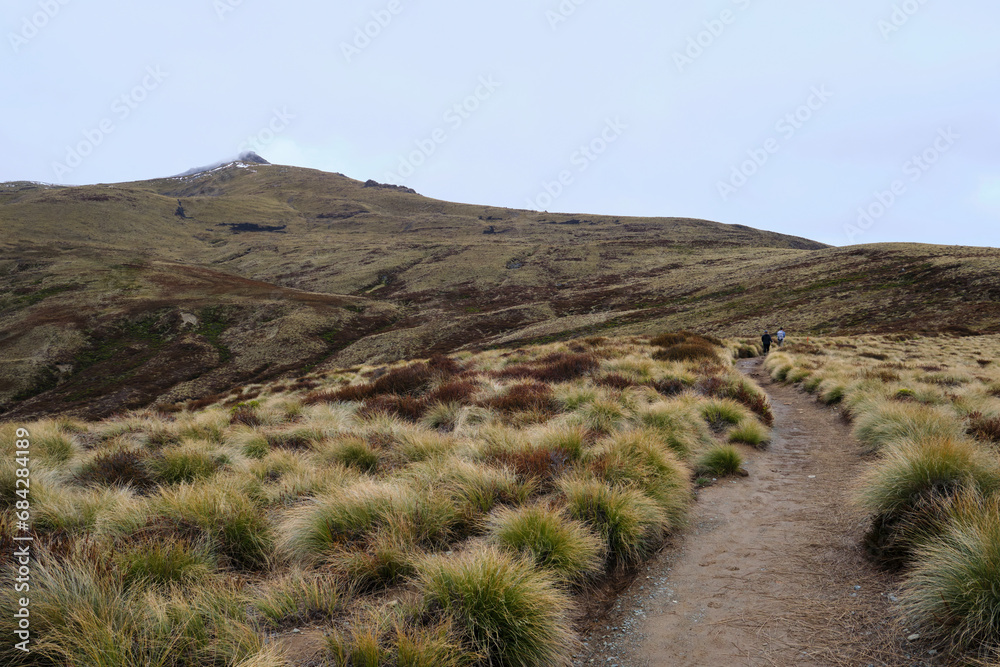 path in the mountains in new zealand
