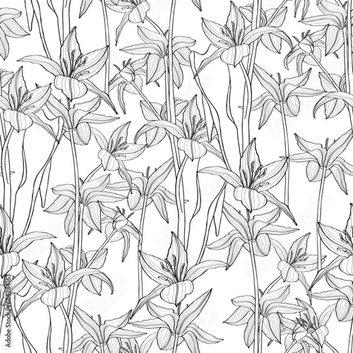 Line botanical tulips flowers, the early spring flowers. Seamless pattern, background illustration. In botanical style.