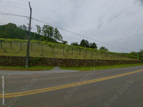 Schilderij op canvas Estrada e vinhedo na região serrana no Sul do Brasil