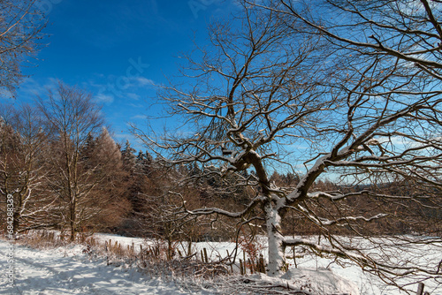 Winterwandern im Schnee, Winterlandschaft am Hohen Gras, im Habichtswald bei Kassel photo