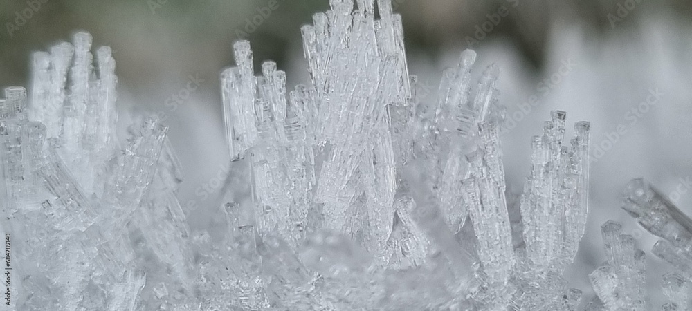 Fototapeta premium Variety of plants frozen and closeup pictures of ice and frost on a winters morning