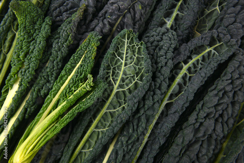 close up of the vegetable Kale leves photo