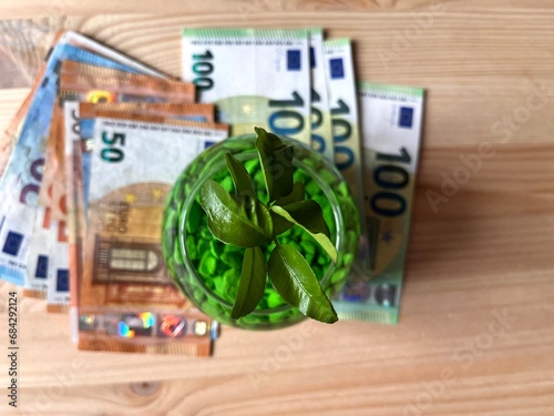 Money tree sprout and paper money euro . The growth of the euro in price.