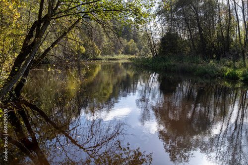 Ziemeļsusēja river, calm water, summertime, reflection of trees, calm water, forest on riverside, Latvia, Latgale