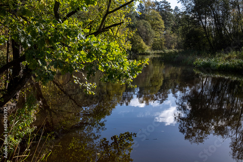 Ziemeļsusēja river, calm water, summertime, reflection of trees, calm water, forest on riverside, Latvia, Latgale