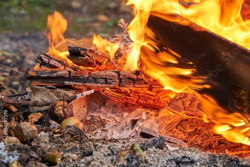 Wood burning on a garden bonfire