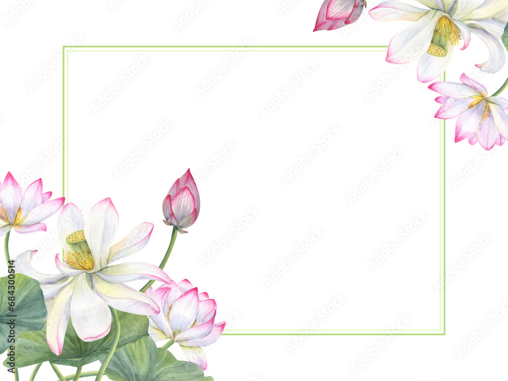Horizontal frame of sacred lotus. Composition with flowers, buds, leaves. Water lily, pink white lotuses, green leaf. Space for text. Watercolor illustration. For greetings, invitation, postcards