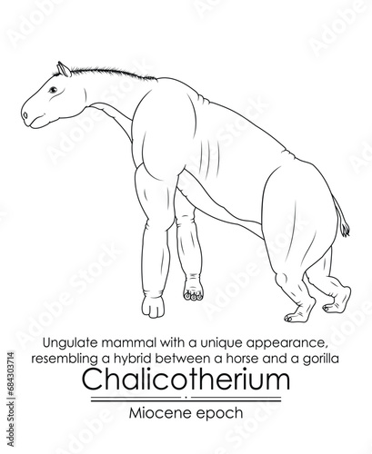 Chalicotherium, Ungulate mammal with a unique appearance, resembling a hybrid between a horse and a gorilla from Miocene epoch. Black and white line art, perfect for coloring and educational purposes. photo