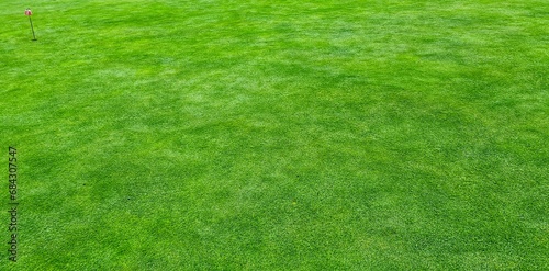 photo of a beautifully manicured lawn