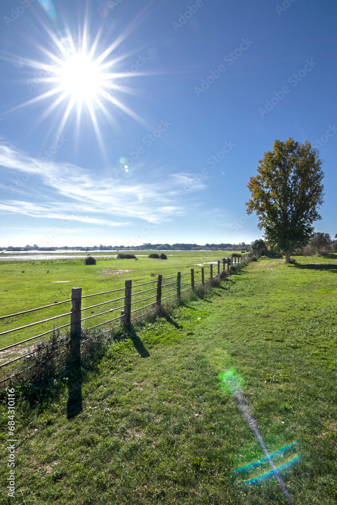 Immerse yourself in the serene beauty of the Rocio village marshes in Huelva, Spain, as the tranquil waters mirror the rustic charm of the surroundings, offering a captivating glimpse.