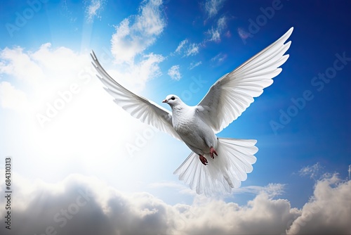 White dove flying as a symbol of peace and freedom.