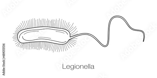 Legionella bacterium line drawing. Hand drawn bacterium causing legionnaires disease. Sketch of microorganism of Legionella pneumophila, facultative intracellular parasite. Vector illustration