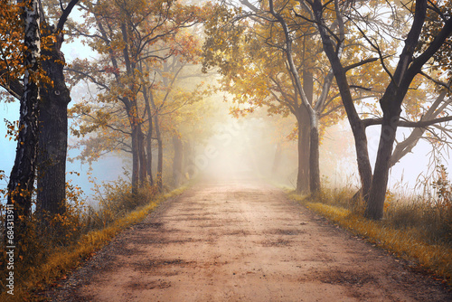 Fototapeta Naklejka Na Ścianę i Meble -  Jesienny mglisty krajobraz