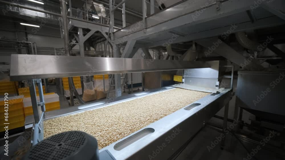 Raw nuts on a conveyor belt. Drying, roasting and packaging, the production process of light snacks. Factory production. Raw nuts on a conveyor belt. Drying, roasting and packaging, the production process of light snacks. Factory production.