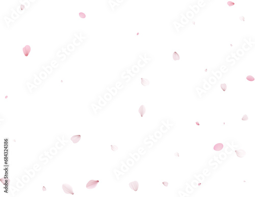 Realistic Cherry Petals