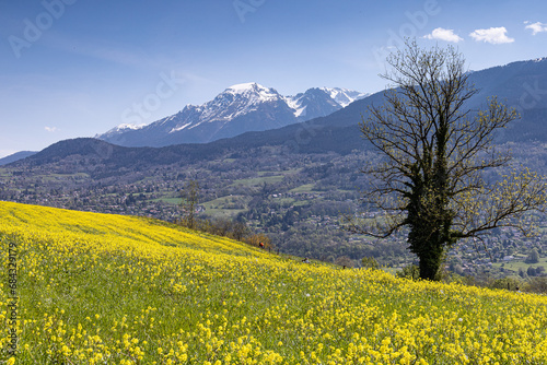 Massif de Belledonne  Is  re - France - Alpes  