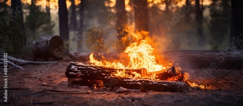 A log on fire in an Arizona forest. photo
