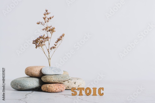 Concept stoicism word made from letters on a background of dried flowers in stones on a gray photo