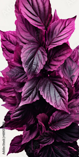 An image of the black leaves, in the style of dark magenta and dark bronze, cross processing