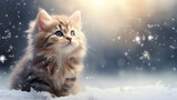 Cute little gray kitten sitting on the snow with copy space for text. Snowy winter background. Christmas background with pets.