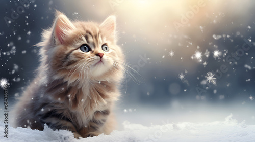 Cute little gray kitten sitting on the snow with copy space for text. Snowy winter background. Christmas background with pets. photo