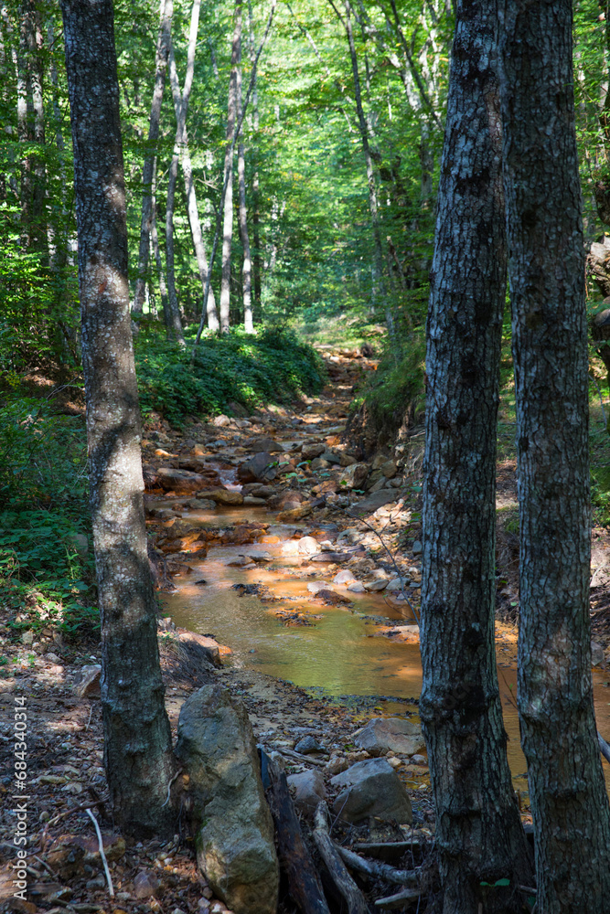 Vertical image of a small river in a forest with red water and stone in a Devil's Town (Djavolja Varos) in Serbia. Vertical image of a small river in a forest with red water and stone in a Devil's Town (Djavolja Varos) in Serbia.