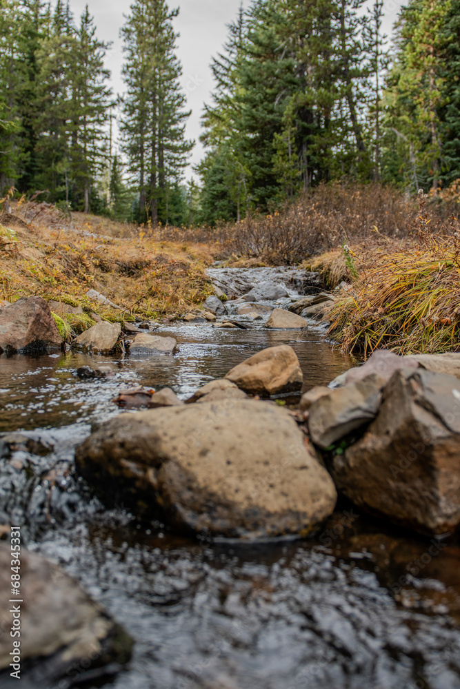 Creek in the forest, fall Creek in the forest, fall