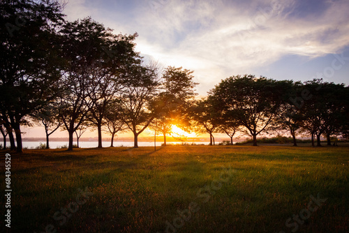 sunset in the field