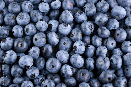 blueberry background