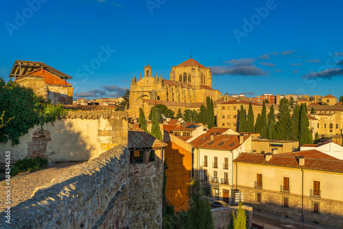 View of the convent of San Esteban in the city of Salamanca from the Calisto and Melibea garden. photo