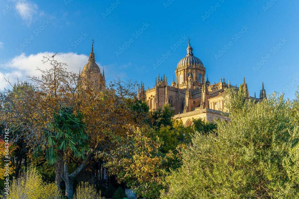 View of the Salamanca Cathedral from the Calisto and Melibea garden on a sunny day.