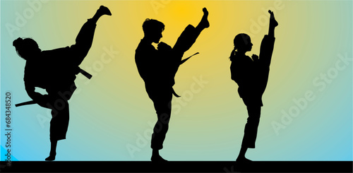 karate, vector, deporte