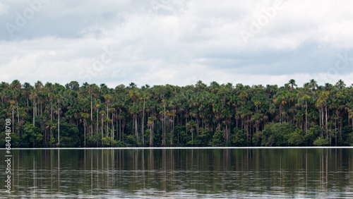 sandoval lake of peru in tambopata reserve  photo
