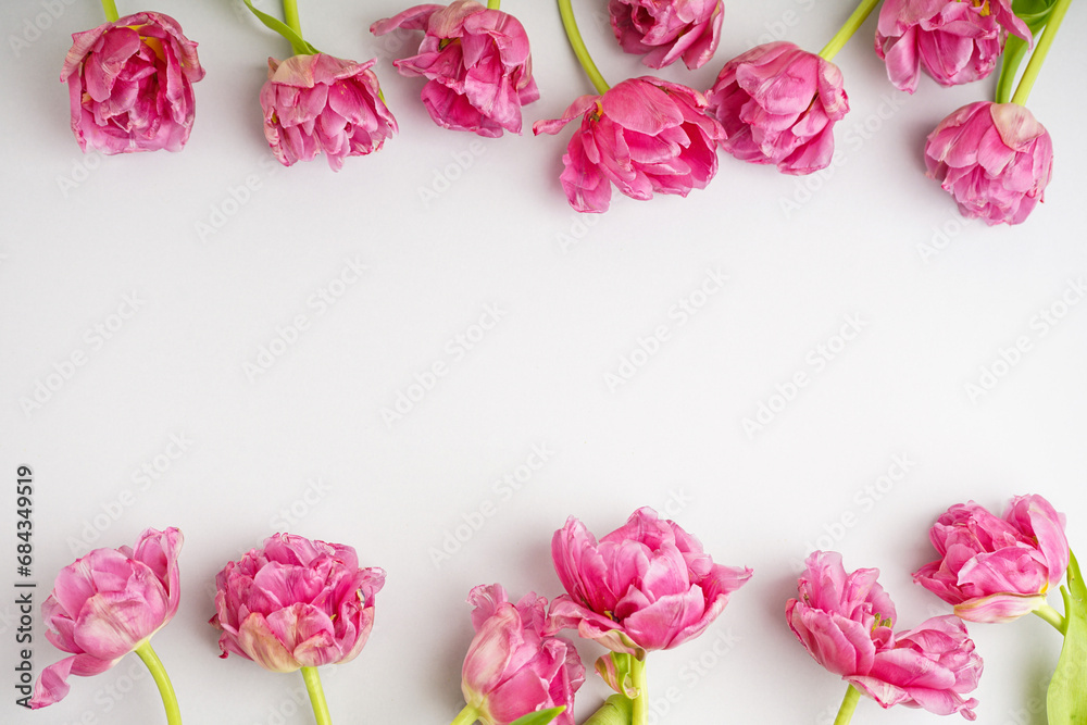 Beautiful of pink peony tulips along on a grey background with space for text. Festive concept for Mother's Day or Valentines Day. Greeting card, top view, banner format.