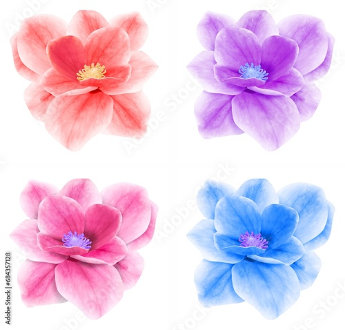 set flowers pink red blue lilac