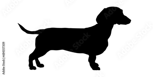 dachshund silhouette vector illustration