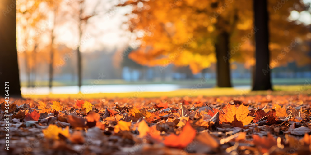 Crisp leaves in shades of orange and red drift down in a park, illuminated by the warm afternoon sun Crisp leaves in shades of orange and red drift down in a park, illuminated by the warm afternoon sun