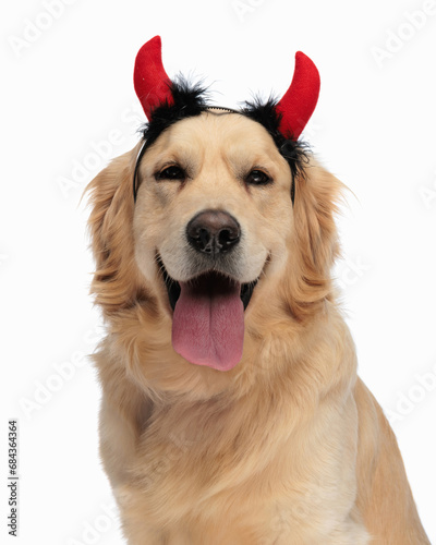 happy labrador retriever dog with devil horns headband sticking out tongue © Viorel Sima