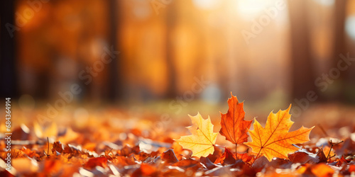 Crisp leaves in shades of orange and red drift down in a park  illuminated by the warm afternoon sun